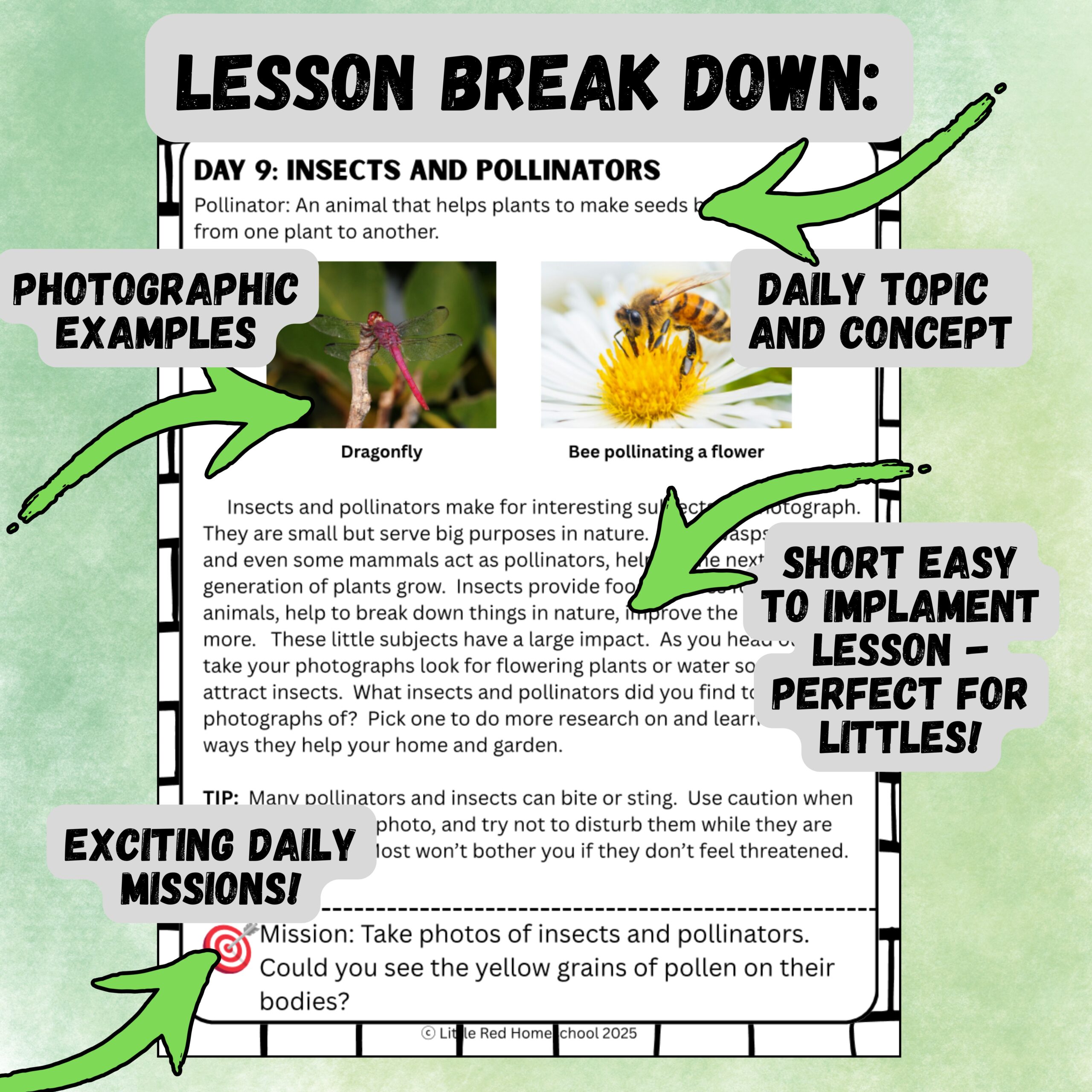 30-Day Nature Photography Challenge for Kids | Homeschool Nature Study & Photography Unit | Printable Elementary Curriculum - Image 3