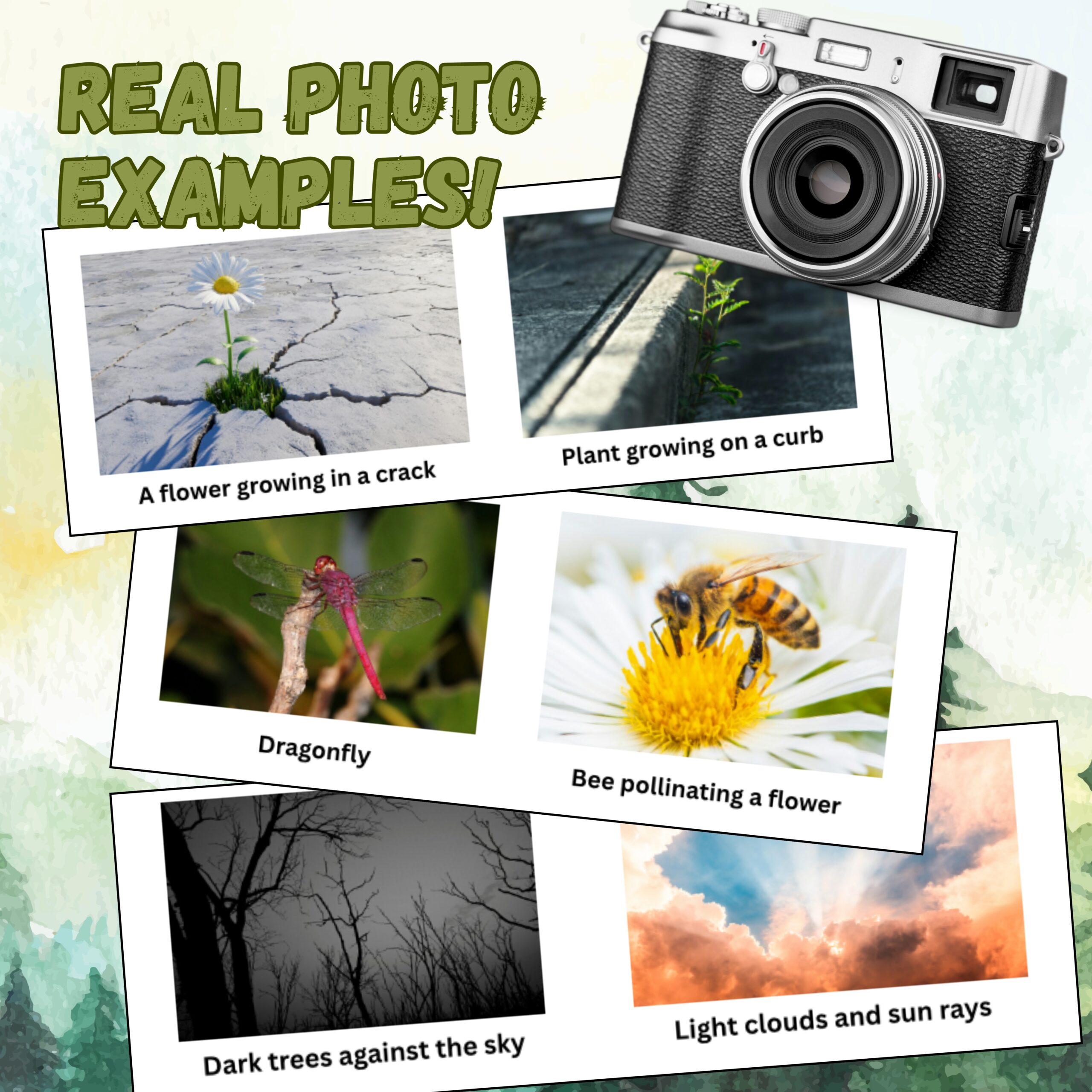 30-Day Nature Photography Challenge for Kids | Homeschool Nature Study & Photography Unit | Printable Elementary Curriculum - Image 2