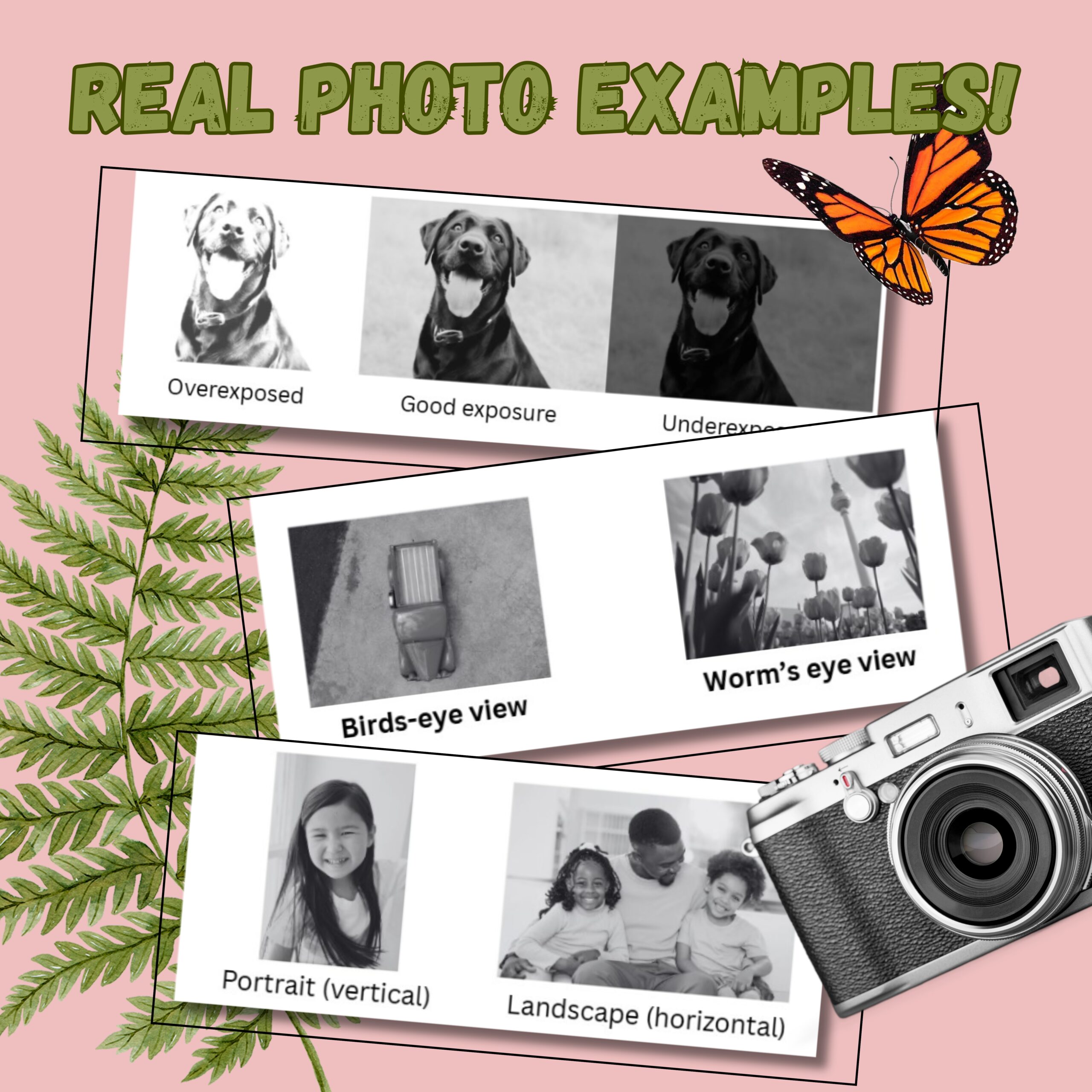 20-Week Photography Unit Study for Kids | Homeschool Photography Curriculum | Elementary Art & Camera Lessons (Ages 5–10) - Image 3
