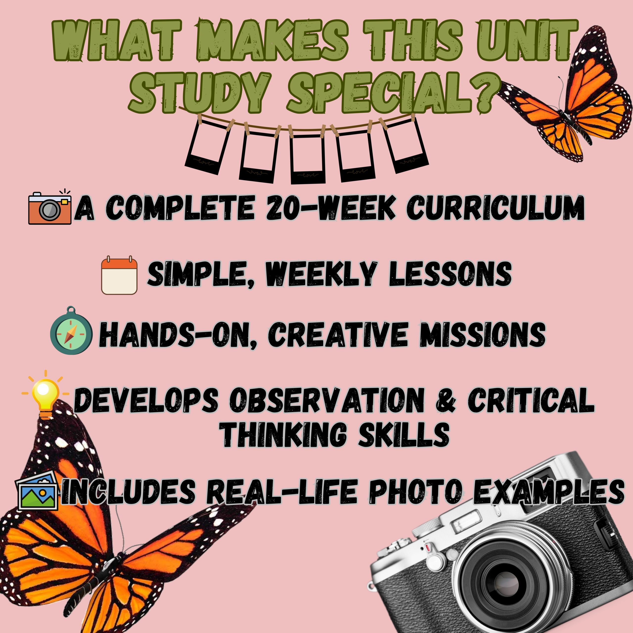 20-Week Photography Unit Study for Kids | Homeschool Photography Curriculum | Elementary Art & Camera Lessons (Ages 5–10) - Image 4