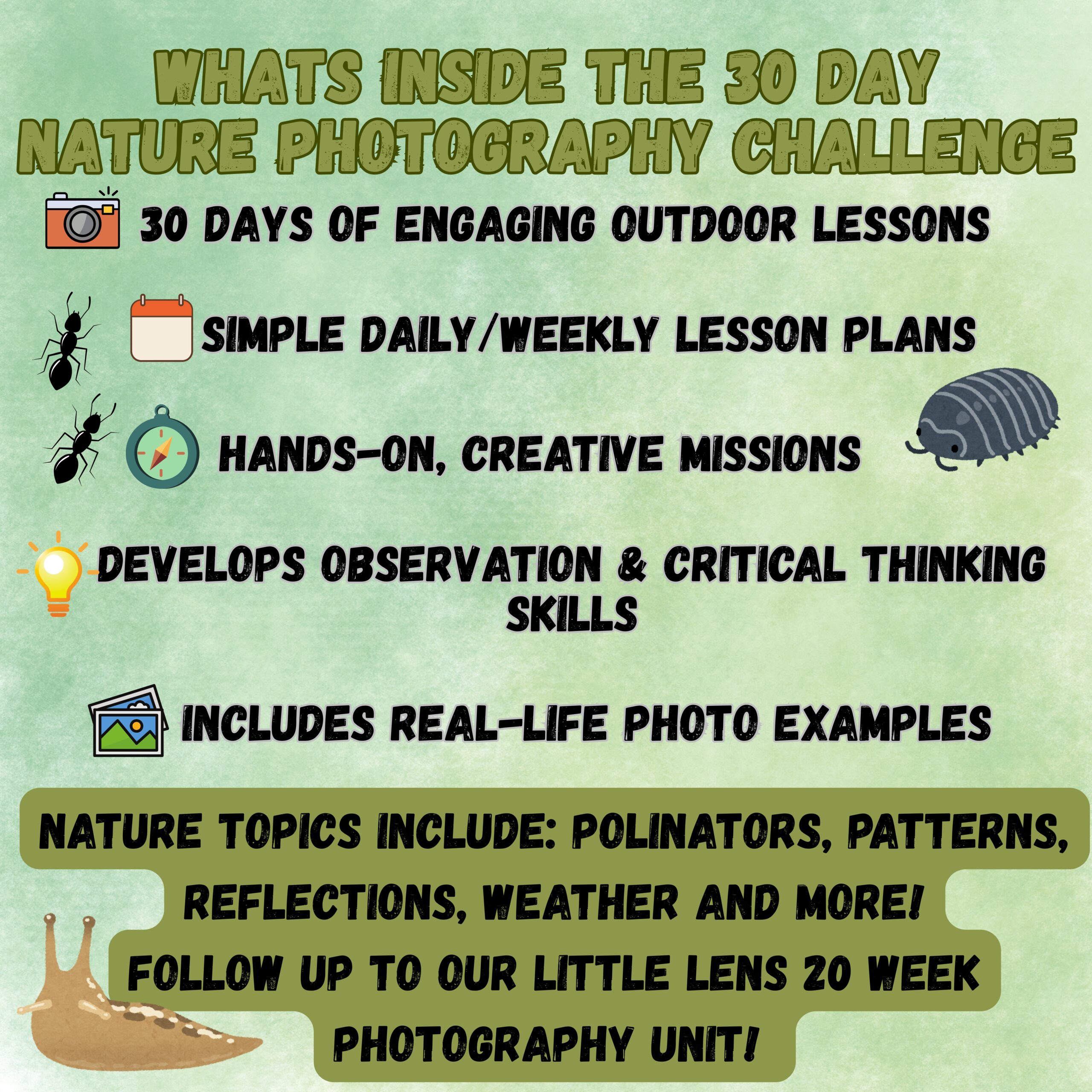 30-Day Nature Photography Challenge for Kids | Homeschool Nature Study & Photography Unit | Printable Elementary Curriculum - Image 4
